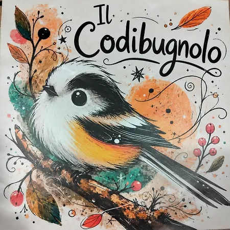 Il Codibugnolo-casa Vacanze Arezzo